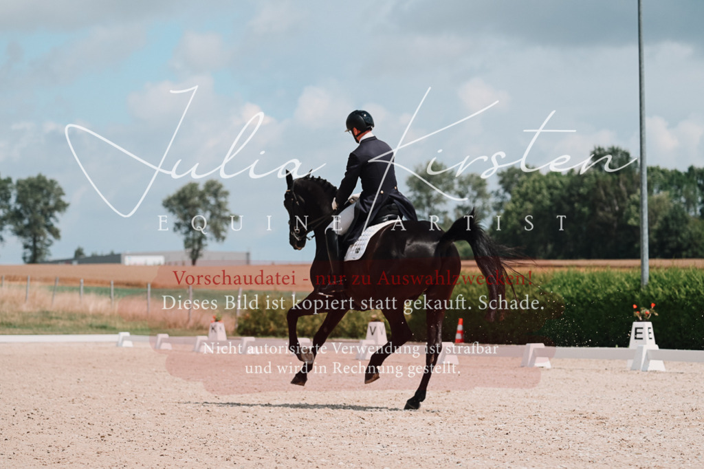 DSC_4011 | Pferde- und Turnierfotografie in Westsachsen. Pferdeportraits, Auftragszeichnungen und intuitive Kunst.