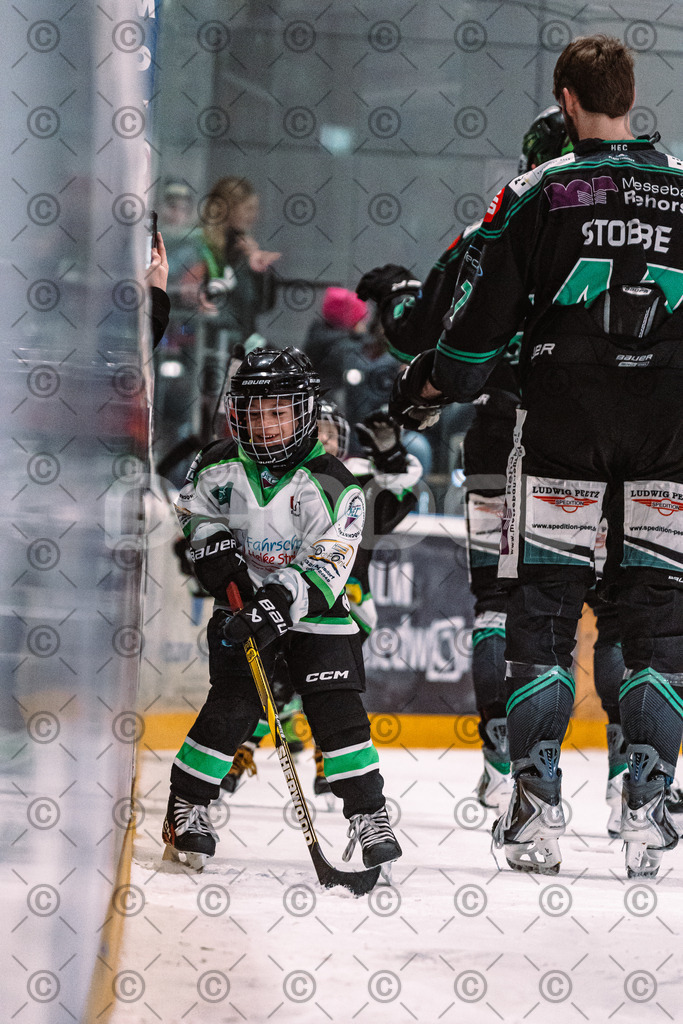 Alligators_vs_Erding_01_02_2026-37 | Höchstadt Alligators Fotogalerie: Eishockey-Action aus Franken. Professionelle Spielfotos, Portraits & Stadionbilder zum Download. Jetzt entdecken! - Realisiert mit Pictrs.com