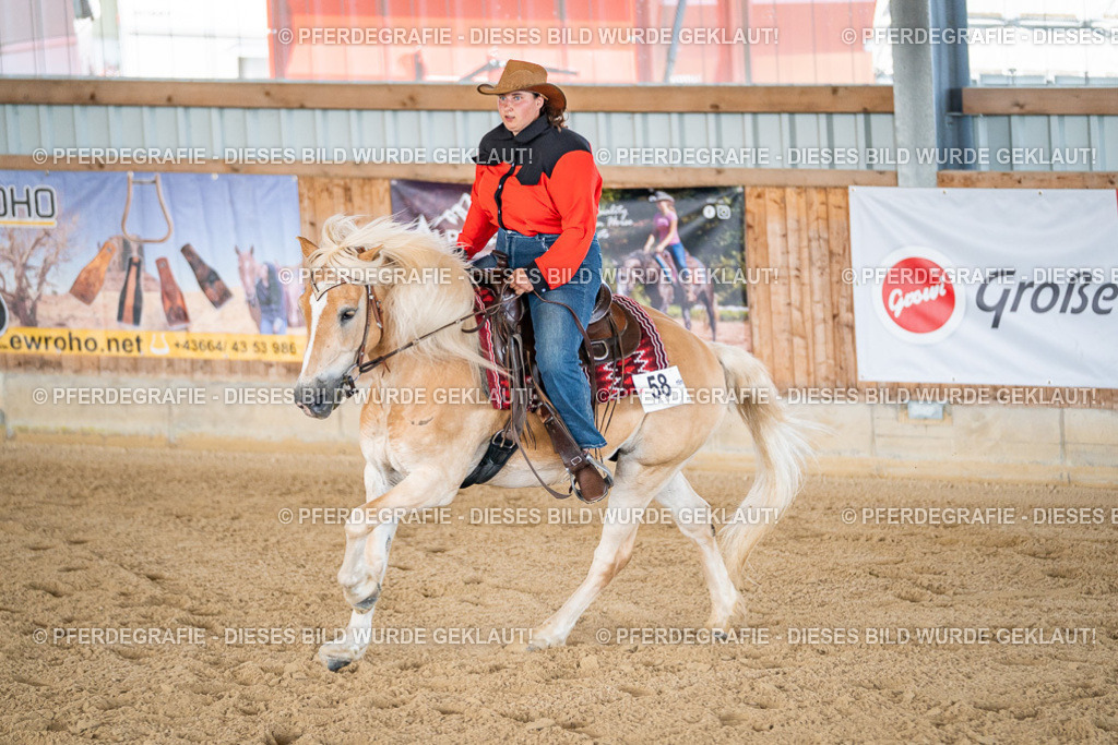 DSC02834 | Pferdegrafie