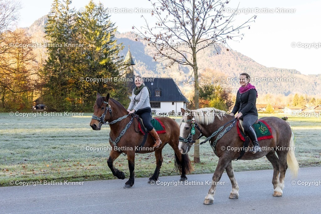 LL24-96 | foto-bettina-krinner - Realisiert mit Pictrs.com