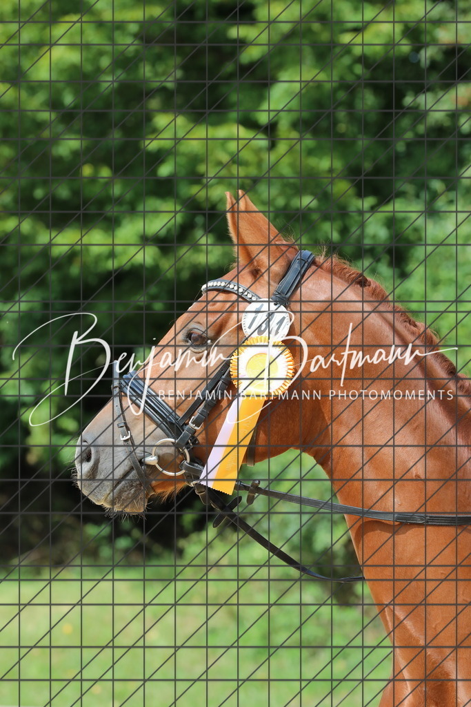 AZ2A2461 | Benjamin Bartmann Photomoments