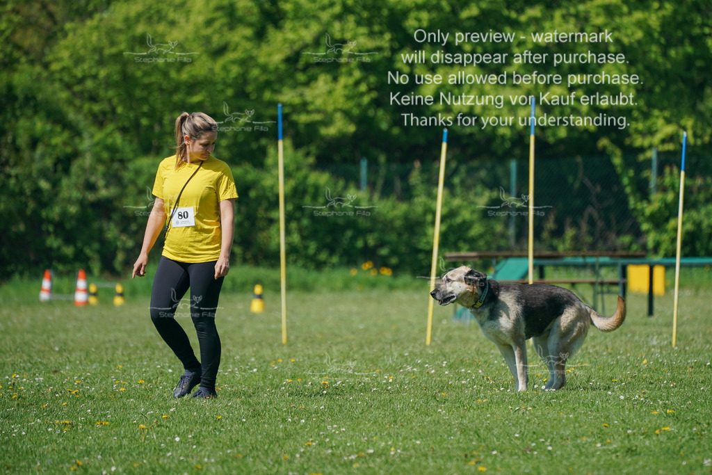 Sa_Gehorsam_Vormittag-82 | stephaniefillaphotographie - Realisiert mit Pictrs.com