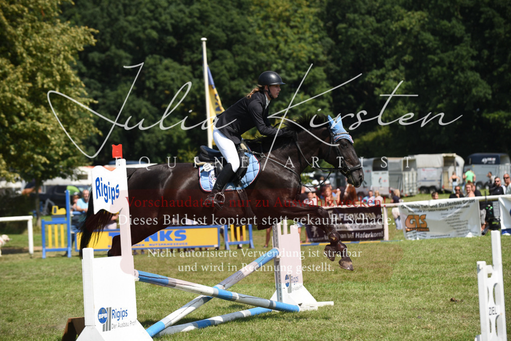 DSC_0050 | Pferde- und Turnierfotografie in Westsachsen. Pferdeportraits, Auftragszeichnungen und intuitive Kunst.