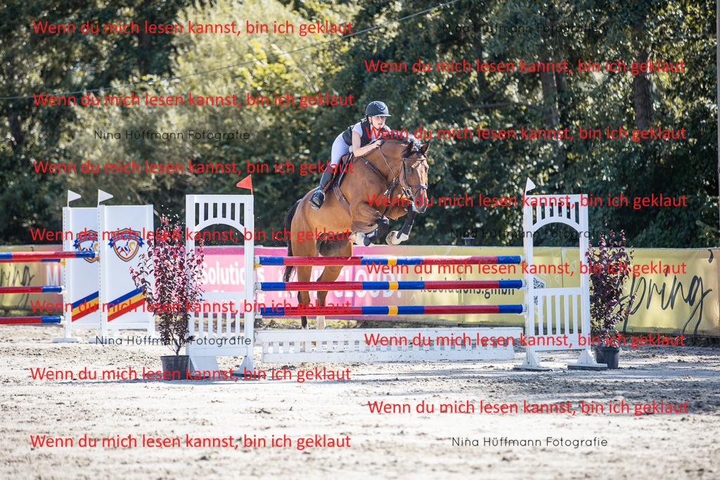 BK1A6973 | Turnierbilder Turnierfotos Nina Hüffmann Turnierfotografie Pferdefotografie Tierzeichnung Haustierzeichnung Pferdezeichnung Hundezeichnung Videograf  - Realisiert mit Pictrs.com