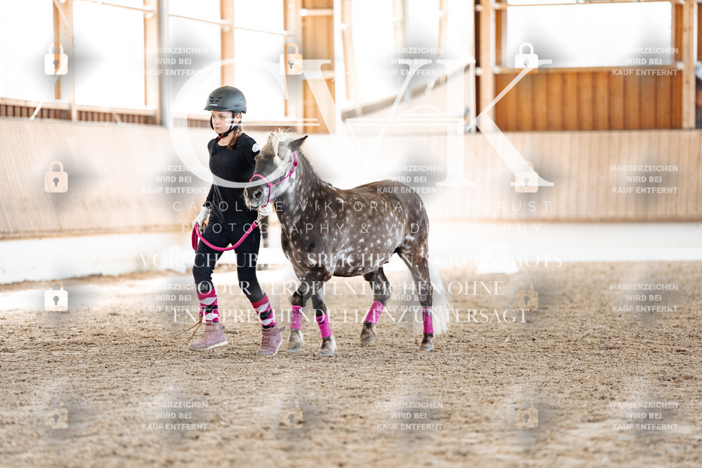 CK907036 | Turnierfotografie Pferdefotografie Trier Rheinland-Pfalz Pferdesport Reitsport Tierfotografie Sportfotografie Pferdevideo Pferdevideografie Equestrianvideography equestrianphotography  - Realisiert mit Pictrs.com