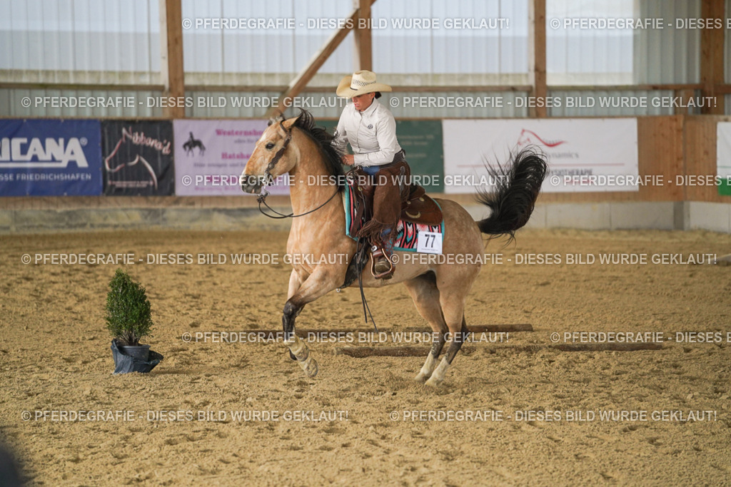 DSC03119 | Pferdegrafie