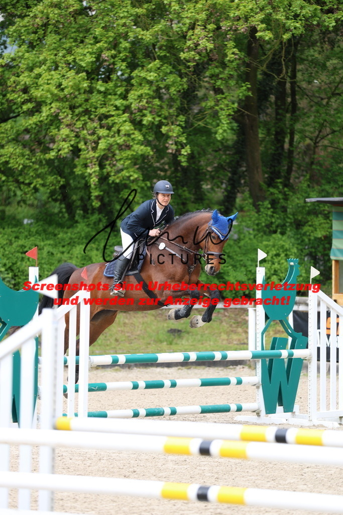 A40A1068 | lmwpictures - Realisiert mit Pictrs.com