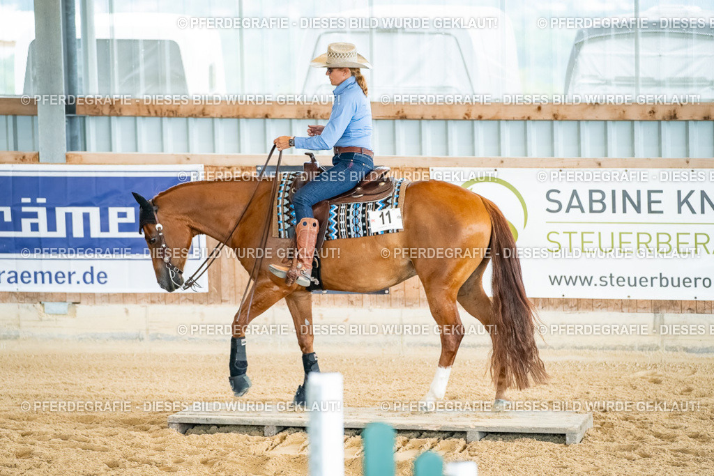 DSC07431 | Pferdegrafie