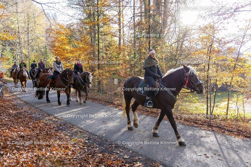 LL24-319 | foto-bettina-krinner - Realisiert mit Pictrs.com