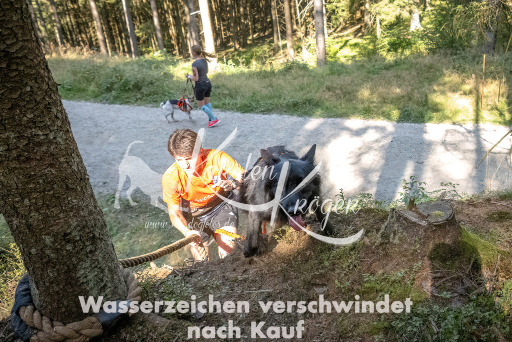 1120_ZZ90676 | kk-dogfotos