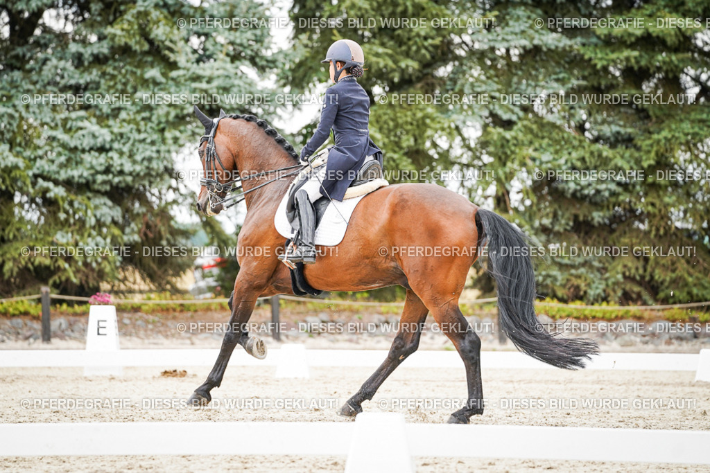 DSC05414 | Pferdegrafie