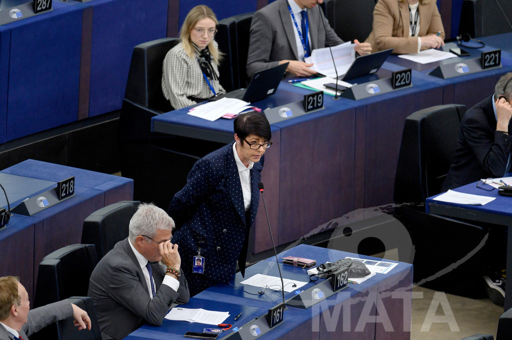 _DWI0288 | Christine ANDERSON (MdEP 2019-2024, AFD, DE) bei Wiederaufnahme der letzte Plenarsitzung. Das Europäische Parlament in Straßburg, 22.04.2024 - Realized with Pictrs.com