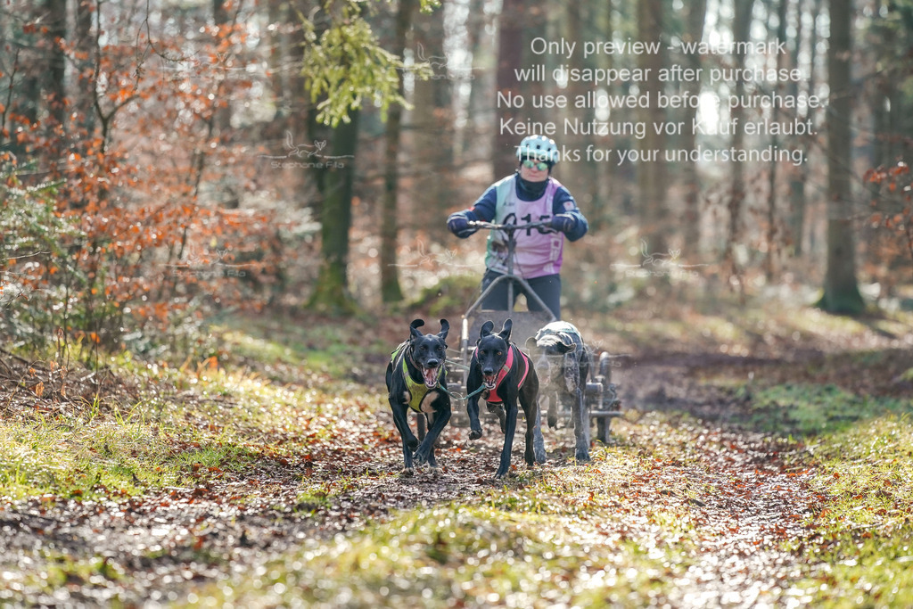 So2_Gespanne-7 | stephaniefillaphotographie - Realisiert mit Pictrs.com