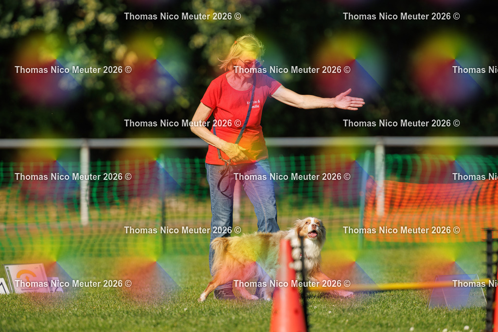 Thomas_Nico_Meuter(C)_04. Oktober 2026_223A3461 | Bild von Thomas Nico Meuter - Realisiert mit Pictrs.com