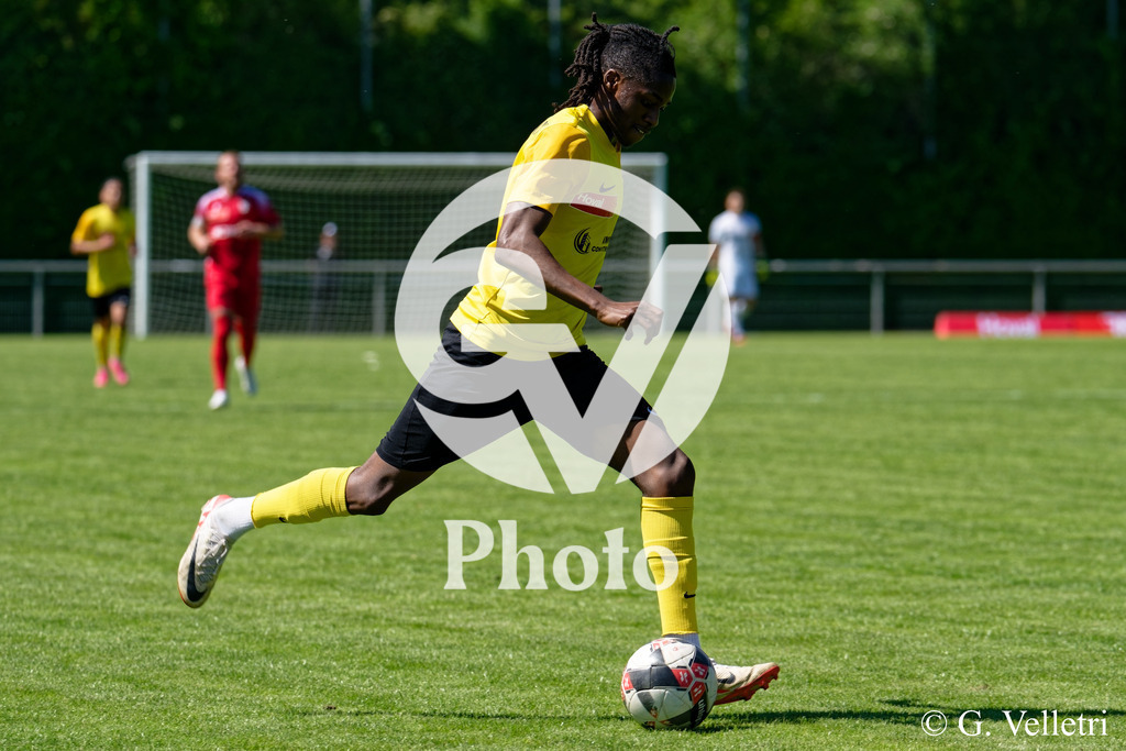 DSC_7916 | Velletri Photo