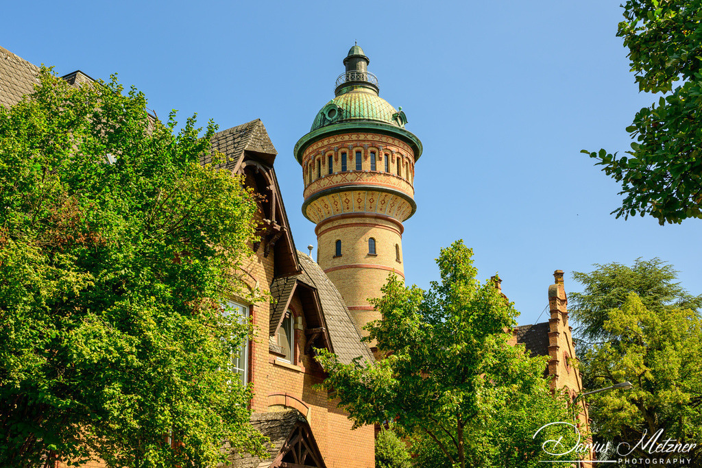 DSC_4086 | Fotografien, Fotos und Bilder aus Mainz, Frankfurt, Wiesbaden und anderen Orten auf der Welt - Fotografiert von Darius Metzner