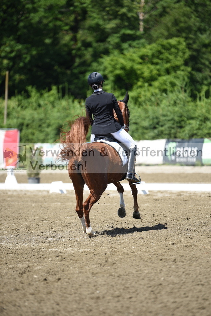 DSC_0252 | equestrian-live-com