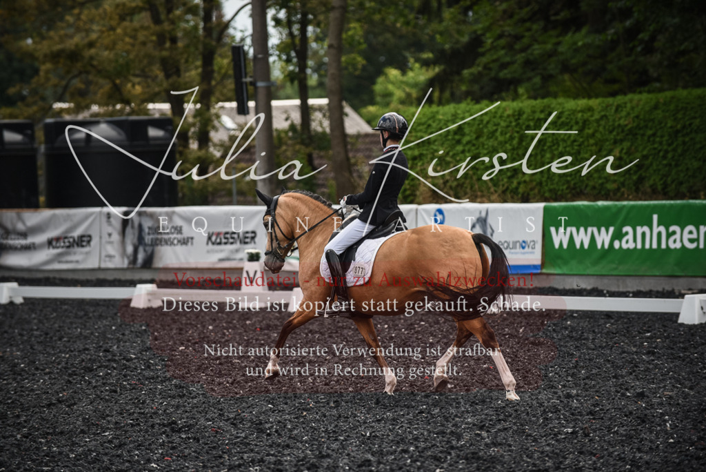 DSC_4418 | Pferde- und Turnierfotografie in Westsachsen. Pferdeportraits, Auftragszeichnungen und intuitive Kunst.