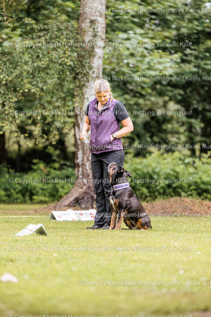 RO-Blumenthal-2026-Nickbest-Hundefotografie-1662 | Dein Hund! Dein Moment! Deine Erinnerungen! Hundefotografie in Bremen Blumenthal. Ich fange die besonderen Momente deines Vierbeiners ein – ob Indoor mit Blitzanlage oder in der freien Natur. Sicher dir dein Moment und dein Termin für eure Erinnerungen.