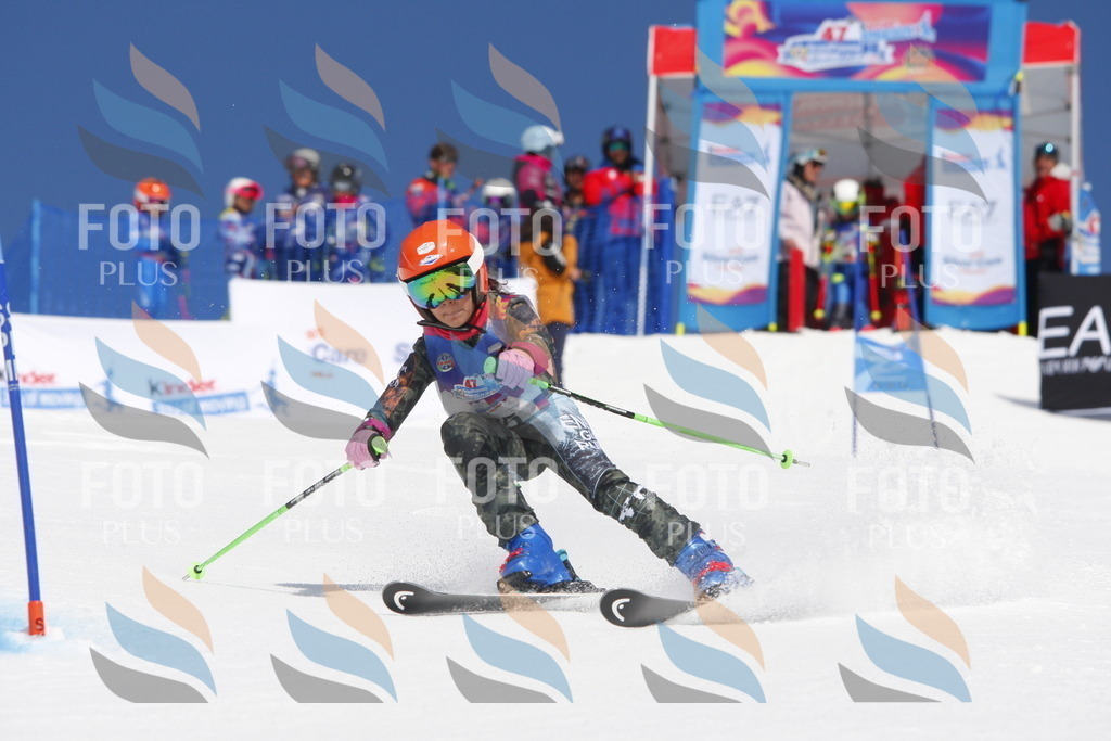 _W1G1246 | holidayphoto