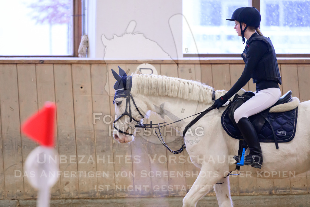29032026-Schwaiganger-Prfg01-357 | Fokus Hufschlag Fotografie - Realisiert mit Pictrs.com