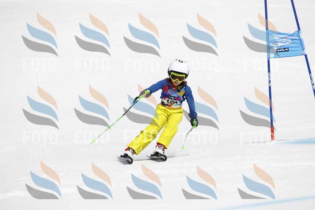 _U3G4830 | holidayphoto