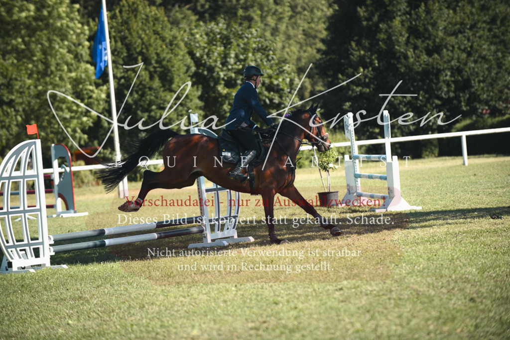 DSC_7703 | Pferde- und Turnierfotografie in Westsachsen. Pferdeportraits, Auftragszeichnungen und intuitive Kunst.