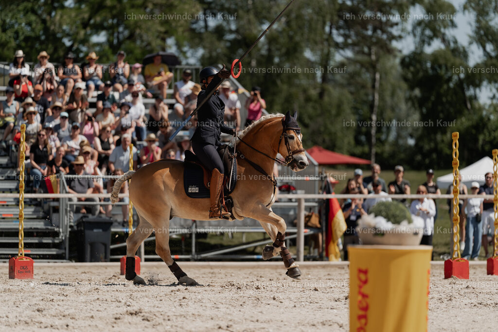 WE_SP_Stoib_308_PI2025_1621 | Pferd International München 2025