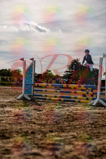 2026_10_03_Siefer-Hof_160104_Z63_11442510 | Professionelle Reitsport-, Turnier- und Eventfotografie von Robert Broda. Galerien mit ausgewählten und bearbeiteten Bildern direkt online ansehen und bestellen.