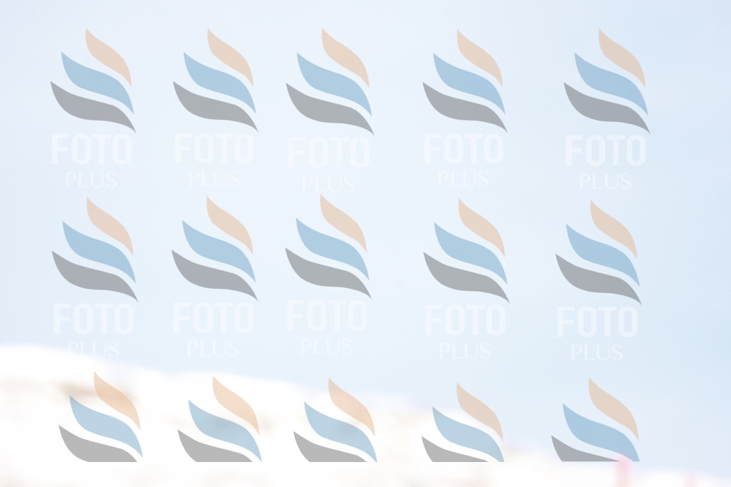 _W1G2938 | holidayphoto