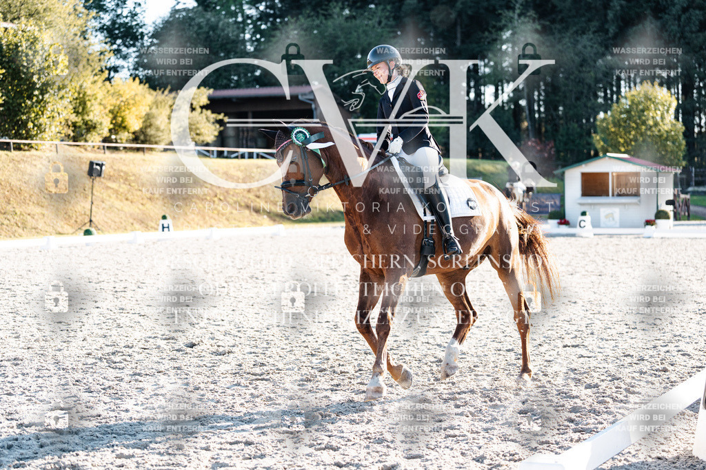 CK907218 | Turnierfotografie Pferdefotografie Trier Rheinland-Pfalz Pferdesport Reitsport Tierfotografie Sportfotografie Pferdevideo Pferdevideografie Equestrianvideography equestrianphotography  - Realisiert mit Pictrs.com