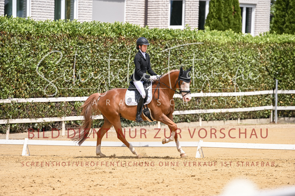 Schugtsche-Aluta25-55.Dressurreiterprf.L1Tr-69 | Schugtsche Fotografie - Realisiert mit Pictrs.com