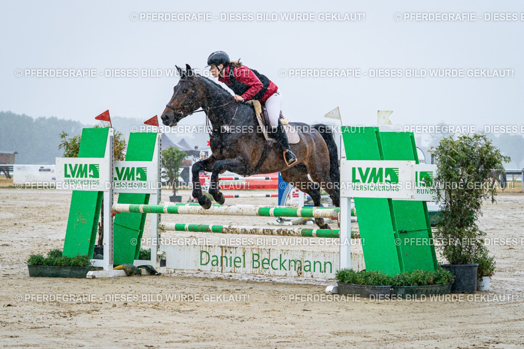 DSC02975 | Pferdegrafie