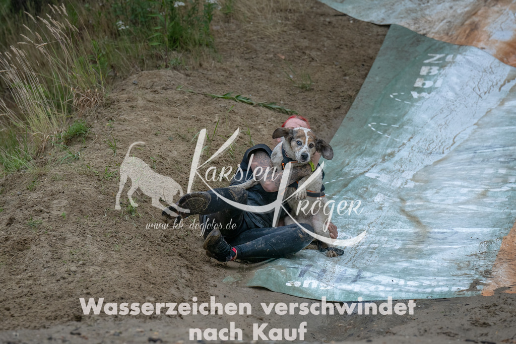 1700_ZZ90002-Bearbeitet | kk-dogfotos