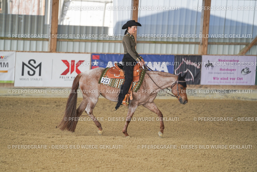 DSC09136 | Pferdegrafie