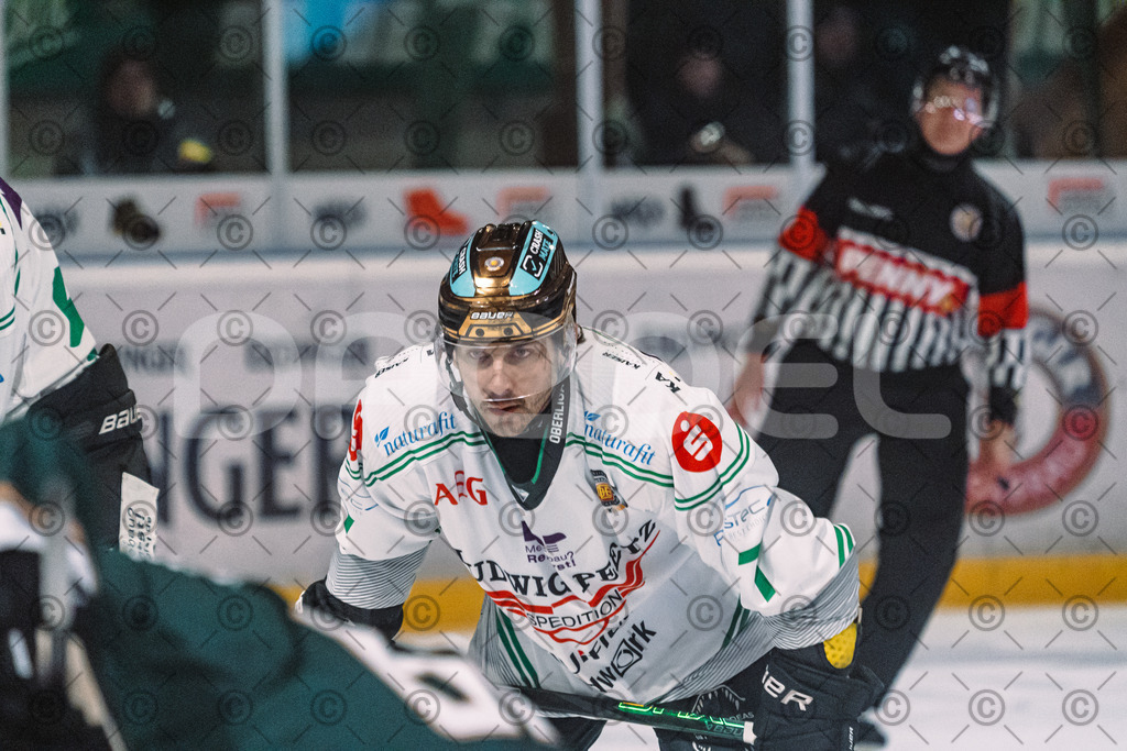 Erding_vs_Alligators_02_01_2026-76 | Höchstadt Alligators Fotogalerie: Eishockey-Action aus Franken. Professionelle Spielfotos, Portraits & Stadionbilder zum Download. Jetzt entdecken! - Realisiert mit Pictrs.com