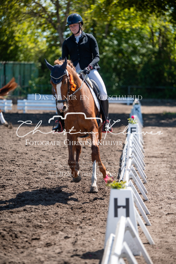 DSC_6544 | Christina-Kleuver