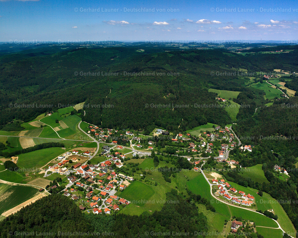 2519336 | Saulburg, Wiesenfelden