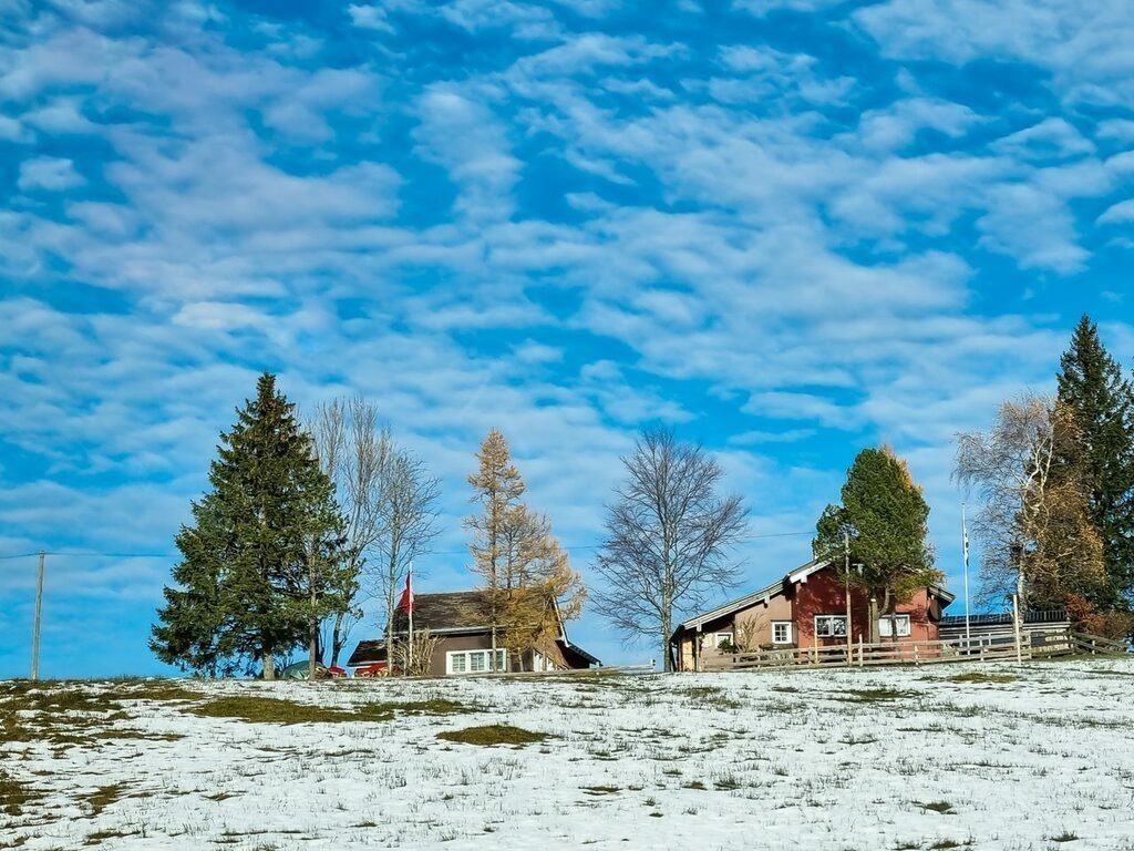 PSX_20221128_233006 | mtkfoto_ - Realisiert mit Pictrs.com