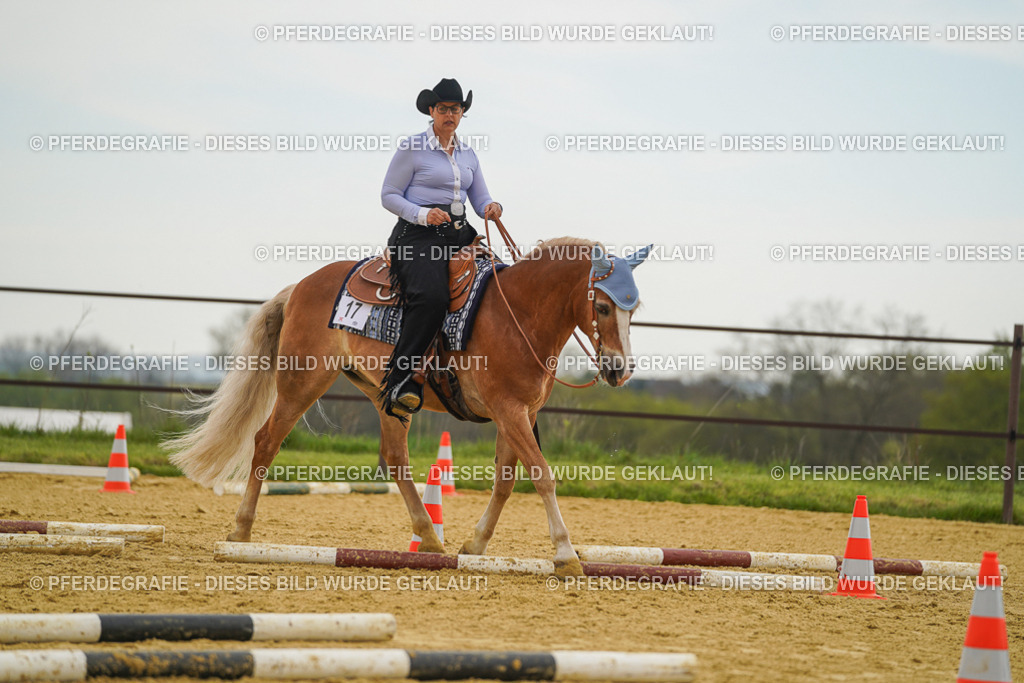 DSC02495 | Pferdegrafie