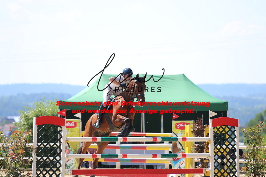 IMG_2839 | lmwpictures - Realisiert mit Pictrs.com