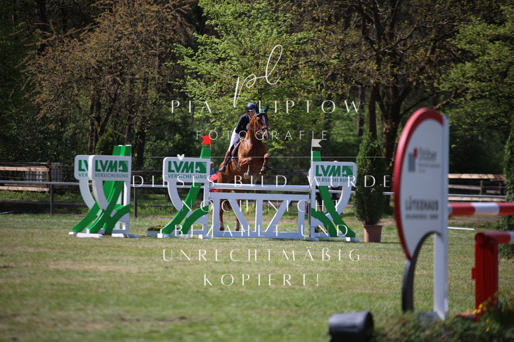 IMGT1158 | pl-fotografie