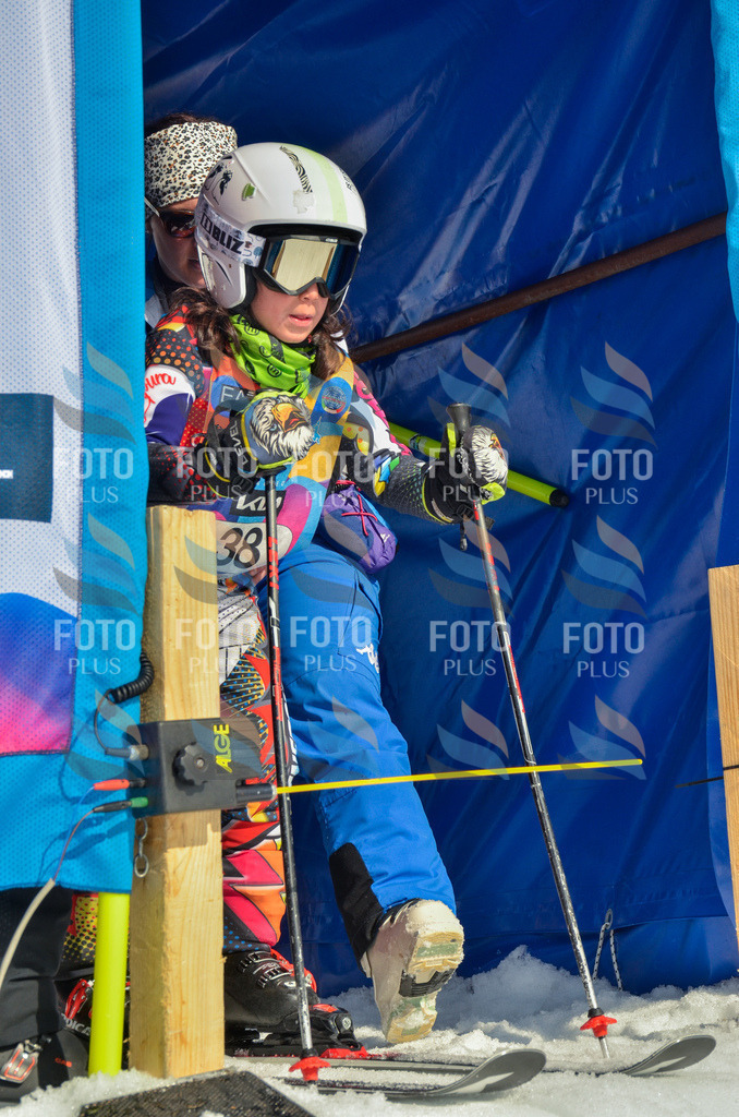 _ELE4983 | holidayphoto