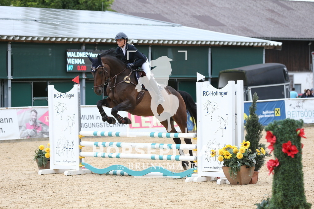 DL2Q5335 | Willkommen bei Brunnmayr - Design & Fotografie – Ihrem Spezialisten für Reitturniere und Pferdeveranstaltungen in Oberösterreich, Salzburg und Bayern! Seit über 17 Jahren sind wir leidenschaftlich dabei.