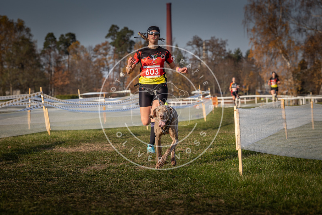 CaniXpix_0L8A0074 | Hundefotografie, Tierfotograf, Pfotenfotografie, Fotoshooting Hund, Hunde Portrait, Hundesport, Hundeportraits, Heideshooting, Hunde, Sportfotograf, Hundefotograf, Turnierhundsport, THS,  - Realisiert mit Pictrs.com
