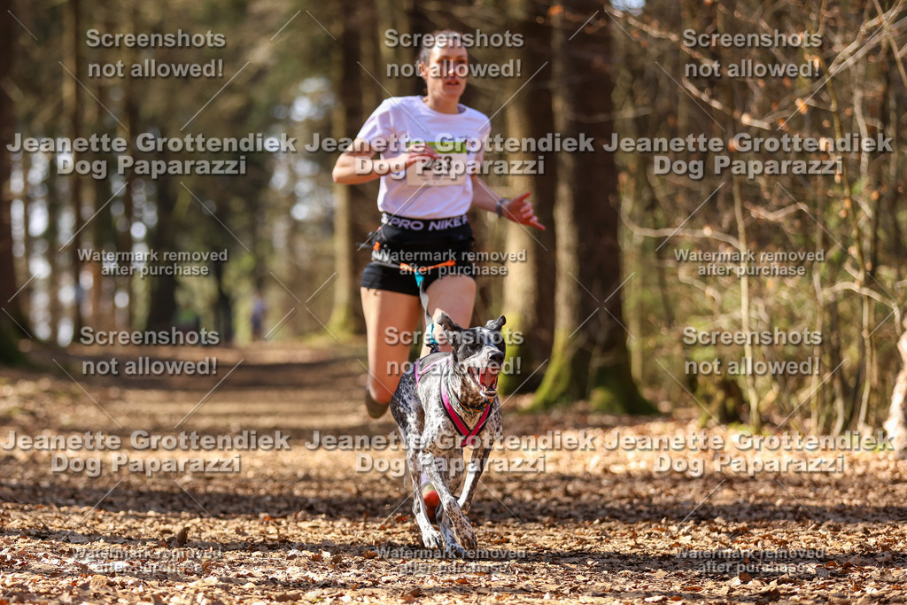 Dog Paparazzi - VCC26-1135 | Dog Paparazzi Jeanette Grottendiek Fotografie & Videografie - Realisiert mit Pictrs.com