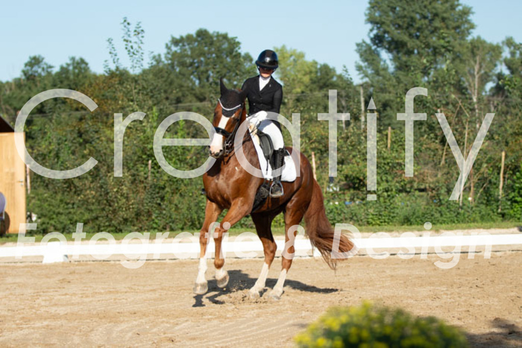 IMG_5834 | Creatify Fotografie