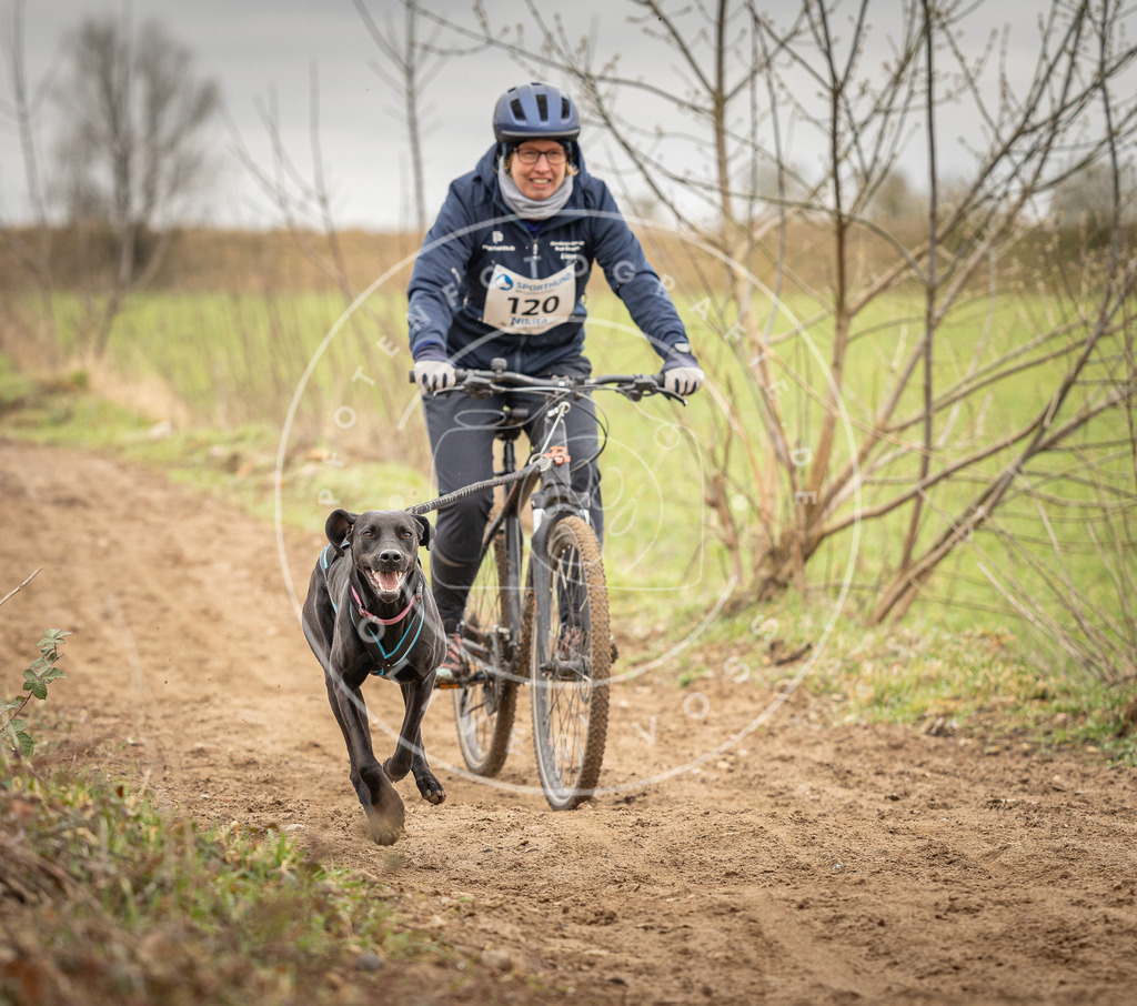 DV3A0924 | Hundefotografie, Tierfotograf, Pfotenfotografie, Fotoshooting Hund, Hunde Portrait, Hundesport, Hundeportraits, Heideshooting, Hunde, Sportfotograf, Hundefotograf, Turnierhundsport, THS,  - Realisiert mit Pictrs.com