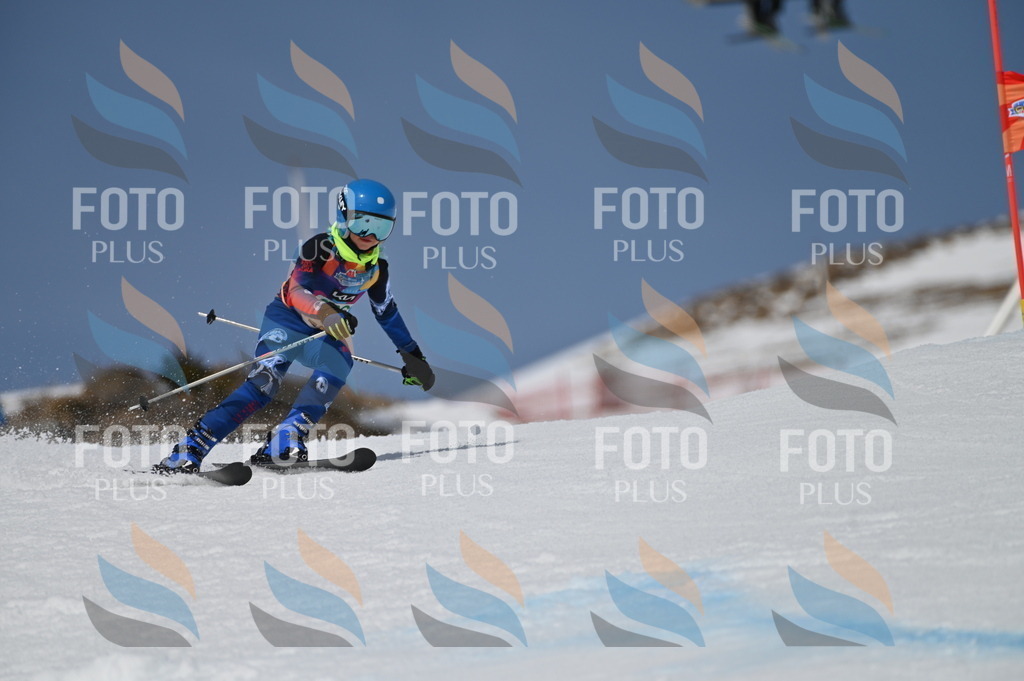 BGV_6447 | holidayphoto