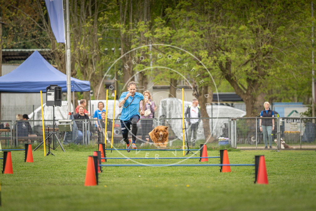 Pfotenfotografie_DV3A8204 | Hundefotografie, Tierfotograf, Pfotenfotografie, Fotoshooting Hund, Hunde Portrait, Hundesport, Hundeportraits, Heideshooting, Hunde, Sportfotograf, Hundefotograf, Turnierhundsport, THS,  - Realisiert mit Pictrs.com
